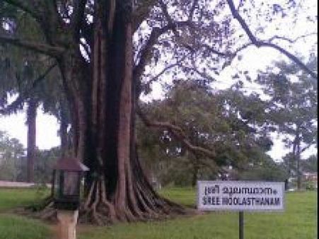 વાદક્કુનાથન મંદિર