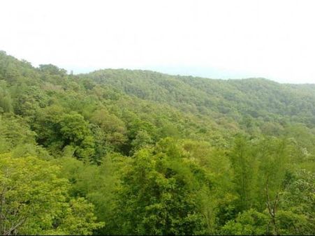 પરમ્બિકુલમ વન્યજીવ અભ્યારણ્ય