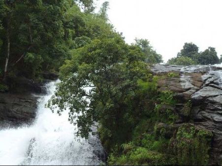 ચારપા ધોધ