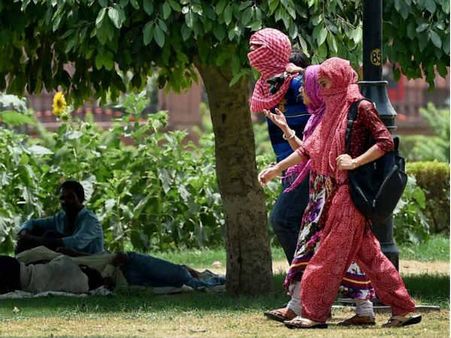 ગરમીથી બચવાના તમામ પ્રયાસો