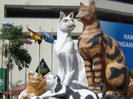 ધ કેટ મ્યુઝિયમ