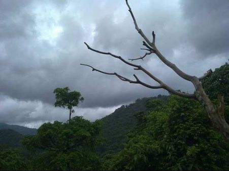 તેનમાલા