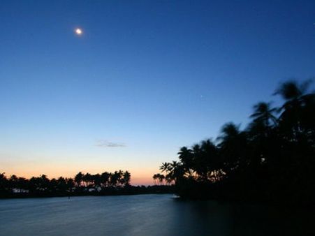 મયયાનાડ