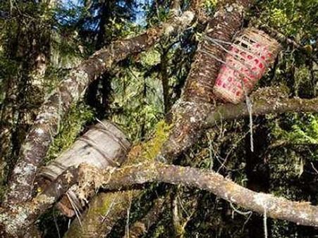 મૃતદેહને વૃક્ષ સાથે બાંધવું