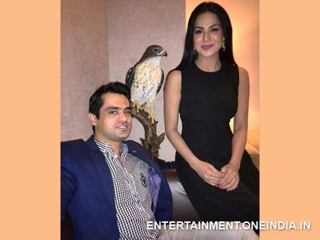 વીણા-અસદ