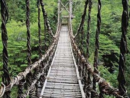 વાઇન ફૂટફાથ એકેએ બ્રીજ, જાપાન