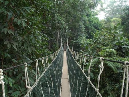 તમન નાગરા નેશનલ પાર્ક બ્રીજ, મલેશિયા