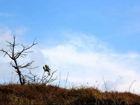 પોનમુડીની સુંદર છબી