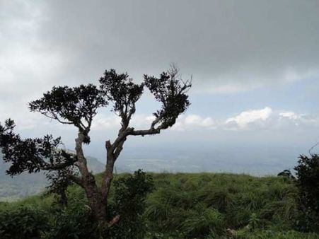 પોનમુડીની સુંદર છબી