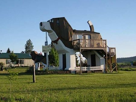 ડોગ બાર્ક ઇન, યુએસએ