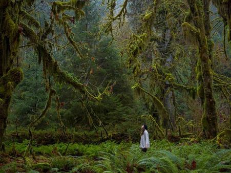 એ લવ ફોર નેચર 