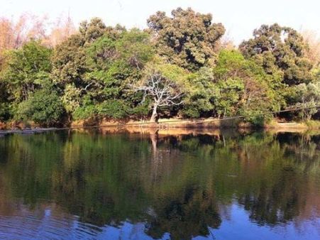 શાંતિ અને સંતૃષ્ટિની શોધને પૂર્ણ કરે છે કેરળનું આ સ્થળ