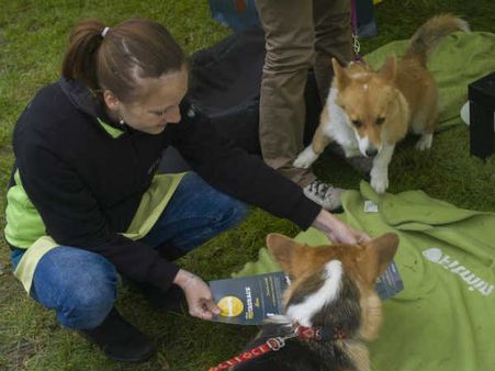 કેવી રીતે અપાય છે ઓર્ડર કેવી રીતે અપાય છે ઓર્ડર