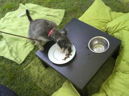 વેઇટરને કેવી રીતે ઓર્ડરનો ખ્યાલ આવે છે વેઇટરને કેવી રીતે ઓર્ડરનો ખ્યાલ આવે છે