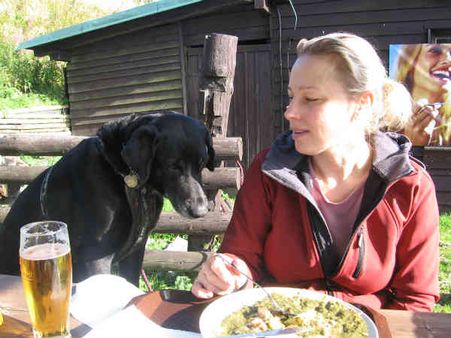 અન્ય દેશોમાં ક્યાં કેવી સર્વિસ? અન્ય દેશોમાં ક્યાં કેવી સર્વિસ?