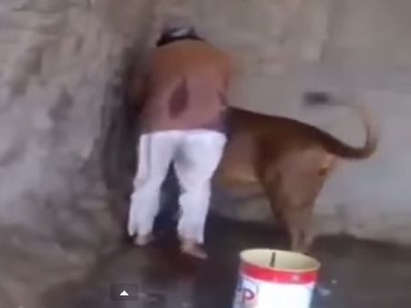 શેરદિલ છે આ શખ્સ