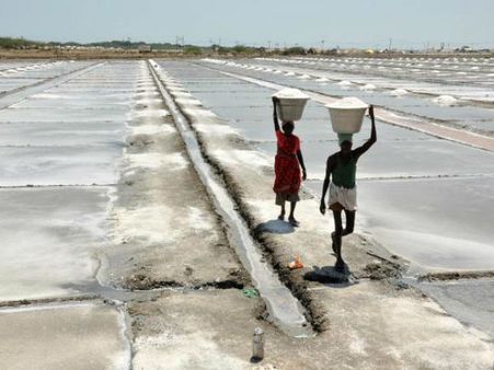ગુજરાતમાં મીઠાનું ઉત્પાદન
