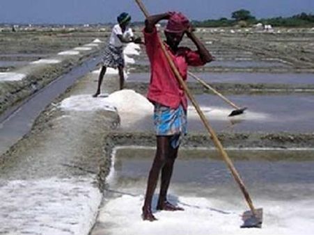 મીઠાનું વાર્ષિક ઉત્પાદન (લાખ મેટ્રિક ટનમાં)