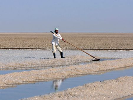 ગુજરાતમાં મીઠા ઉત્પાદન કરતા જિલ્લા