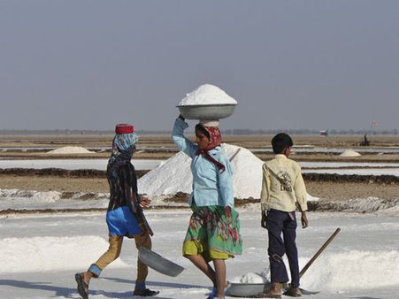 ગુજરાતમાં મીઠાની માહિતી