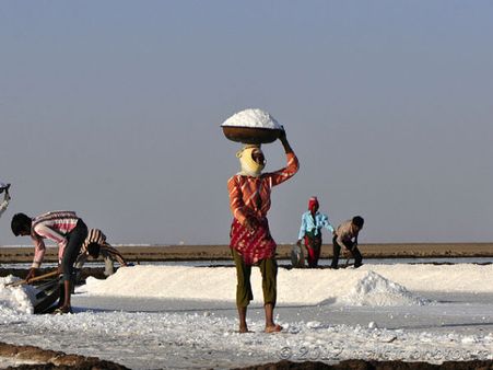 ગુજરાતમાં મીઠાના પ્લાન્ટની કેટેગરી