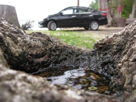 ડીઝળ એક્સએલમાં ફેરફાર