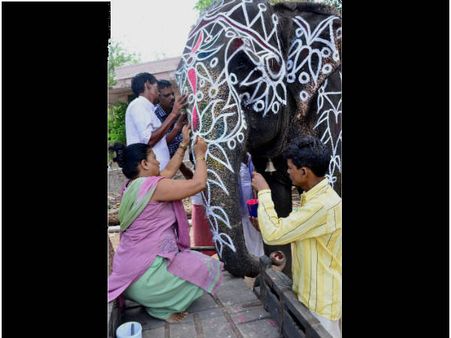 હાથીઓનો શણગાર હાથીઓનો શણગાર