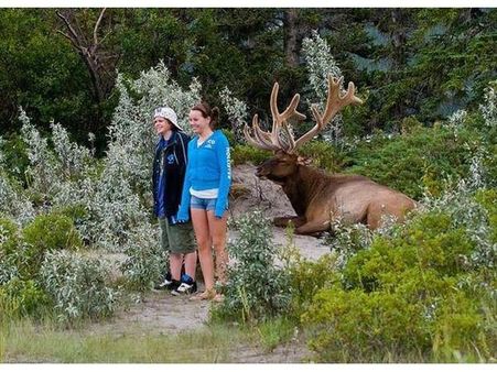 રમૂજી અને ખતરનાક તસવીરો