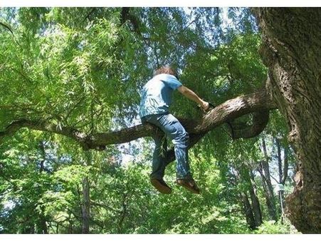 રમૂજી અને ખતરનાક તસવીરો