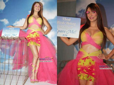 ફરિયાદ નોંધાવી ફરિયાદ નોંધાવી