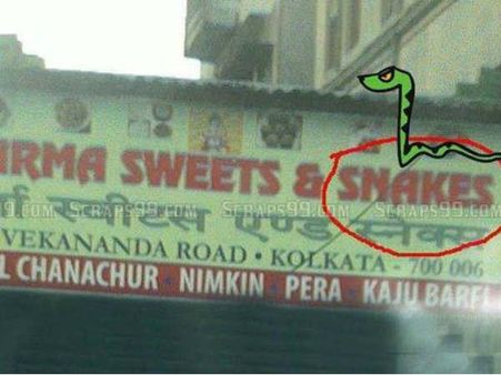 આ છે સાંપની દુકાન આ છે સાંપની દુકાન