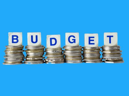 બજેટની સમરી રજૂ કરવી