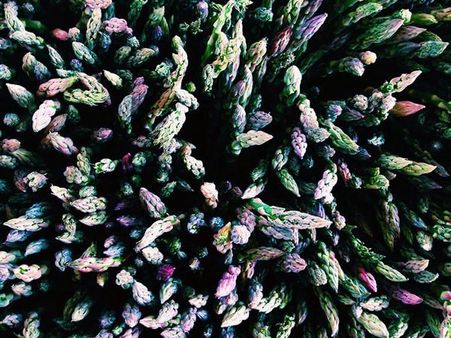 ALEXA SEIDL ALEXA SEIDL