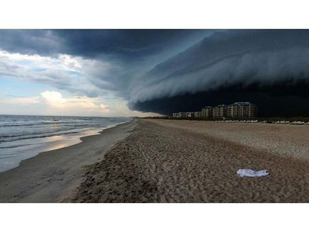 FELICIA PANDOLA FELICIA PANDOLA