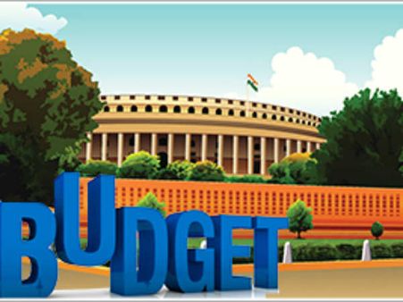 બજેટ 2014 : મોદી બજેટમાં કરદાતાઓ માટે કરાયેલી ખાસ જાહેરાતો