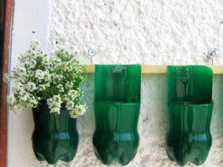 ફૂલ રાખવા માટે