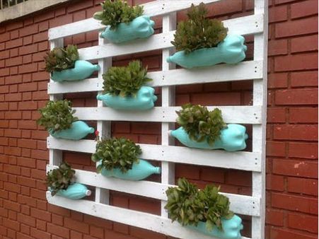 પોર્ટની માફક