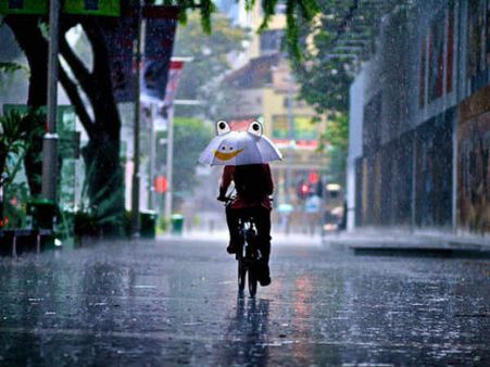 ઢેફાભાંગ