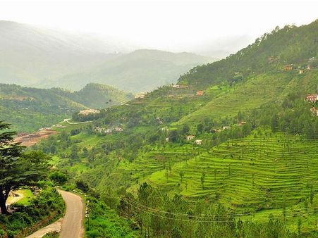 અલ્મોડા