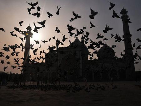 જામા મસ્જીદ, દિલ્હી