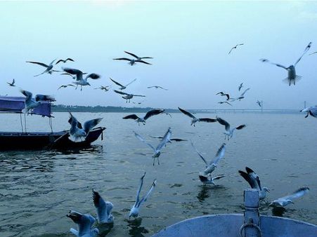 ઇલાહાબાદ