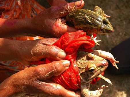 વરસાદ માટે ના જાણે શું-શું