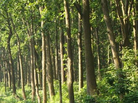 વરસાદ માટે ટોટકા