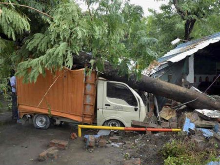 ભોપાલમાં ઝાડ પડ્યું