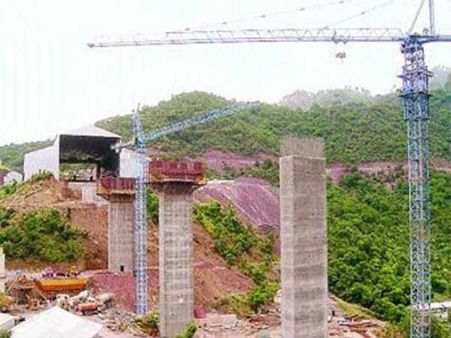 1,315 મીટર લાંબો પુલ