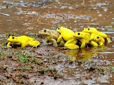 Happy Monsoon: આપનું મન મોહી લેશે આ અદભુત તસવીરો..