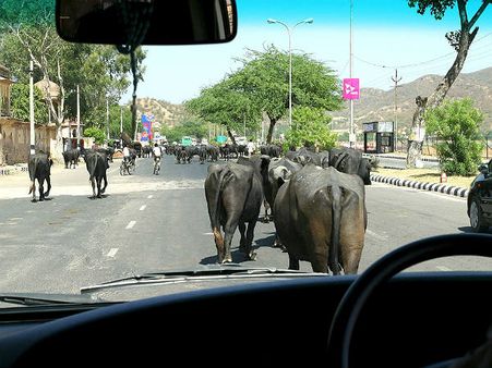 હાઇવે પર અવરોધ