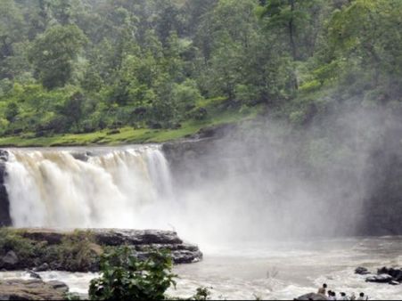ગીર ઝરણું ગીર ઝરણું
