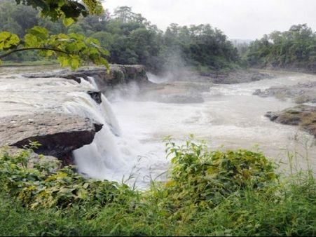 ગીર ઝરણું ગીર ઝરણું