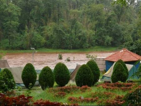 વાંસદા રાષ્ટ્રીય ઉદ્યાન વાંસદા રાષ્ટ્રીય ઉદ્યાન